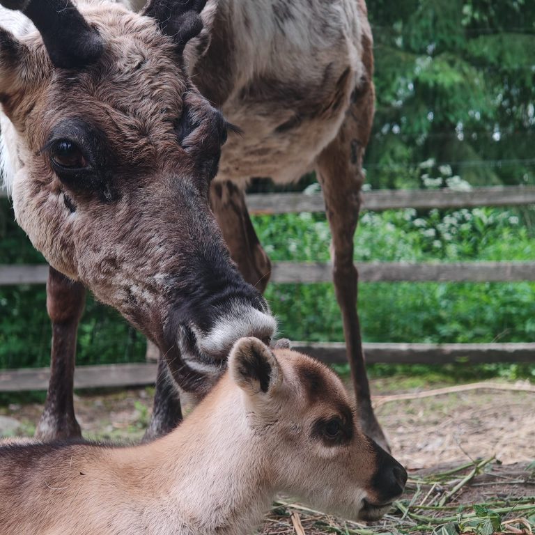 WhatsApp Image 2026-04-26 at 17.41.44 (1)