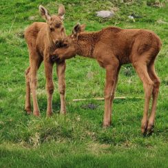 WhatsApp Image 2026-04-26 at 17.41.44